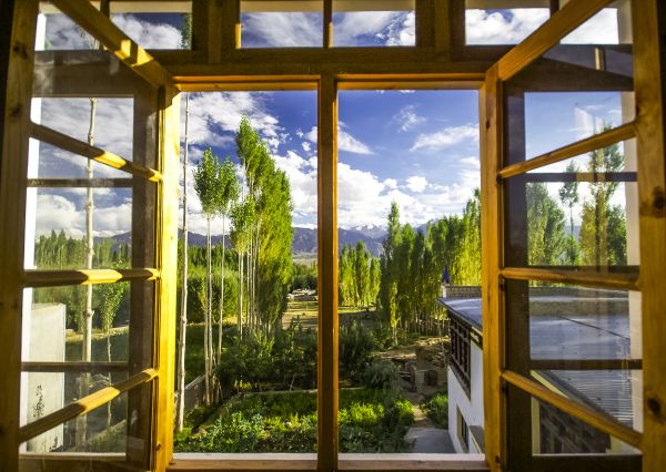 Cost of Wood Window Replacement in Van Nuys