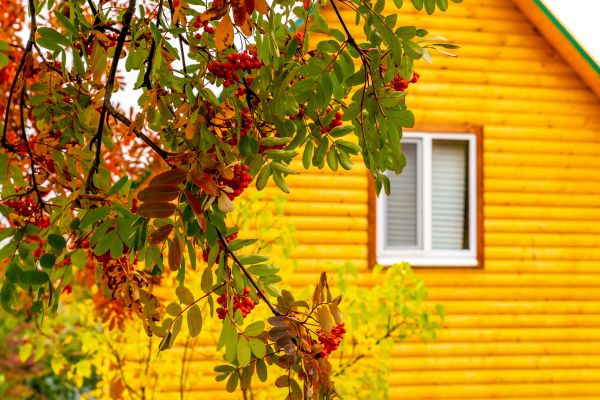 Cost of Garden Window Replacement in Van Nuys